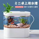 LEDライトフィルターポンプ付き水槽セットアクアリウム コードレス 水族館 オーナメント 自由研究 LED照明 水槽 セット卓上 玄関 リビング LEDランプ ...