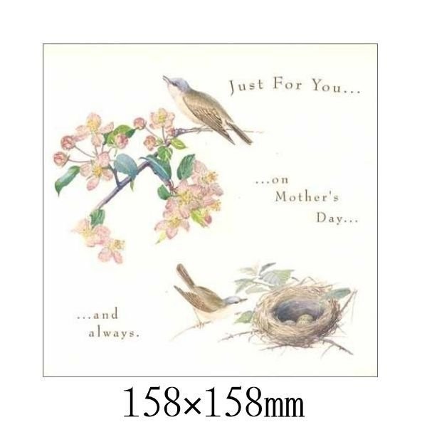 おしゃれ 母の日 グリーティングカード 「鳥と花」 MDII-0001 封筒付き メッセージカード インポート 輸入カード ラッピング レター ギフト プレゼン...