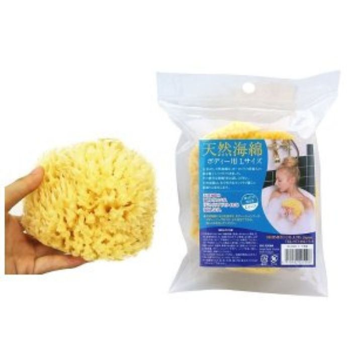 海綿 天然海綿 天然スポンジサイズ 大き目サイズ 約12cm エーゲ海産ハニコム種 ボディー用 L 潤滑ゼリー サポート ボディケア PK-B