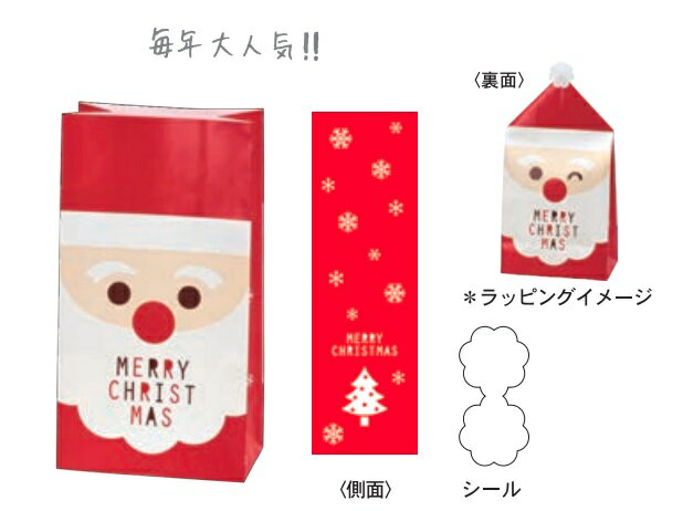クリスマス ラッピング プレゼント 角底 ペーパーバッグ Lサイズ 5枚入 フルサンタ レター ギフト MB-B
