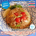 カオパットロットファイ(鉄道炒飯) タイ国政府認定レストラン 炒飯 鉄道 醤油 本場の味 タイ タイ料理 屋台 アジア アジアン 食材 惣菜 冷凍 本格 簡単 ...