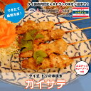ガイサテ(タイ式鶏の串焼き) タイ国政府認定レストランの味! ギフト 鶏 鶏肉 串焼き ココナッツ カレー ソース付き おつまみにも タイ タイ料理 マレーシア 本格 簡単 屋台 アジア アジアン エスニック 作りたてをお届け 焼鳥