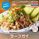 ラープガイ(鶏挽肉のおかずサラダ) タイ国政府認定レストランの味! 鶏肉 鶏挽肉 サラダ おかず ご飯のお供に タイ タイ料理 本格 アジア アジアン 屋台 簡...