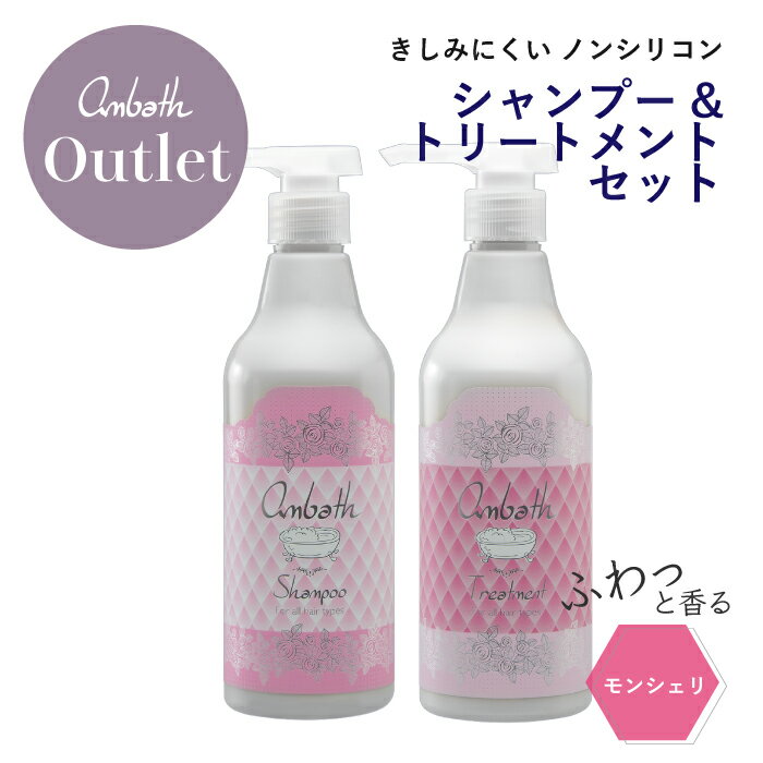 【週末クーポンあり】【訳あり/アウトレット】シャンプー ノンシリコン ヘアケア ギフトセット 頭皮ケア シャンプー スカルプ シャンプー 訳あり アウトレット トリートメント 塩シャンプー アンバス クレイシャンプー 死海の塩