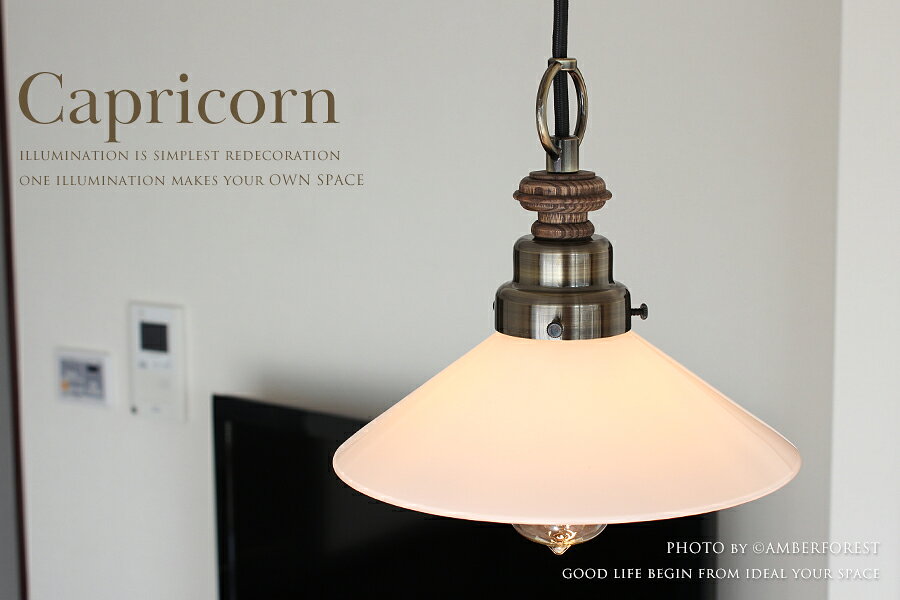 【Capricorn】 照明器具 間接照明 ペンダントランプ 職人 手作り ハンドメイド レトロモダン 大正浪漫 店舗 和室 アンティーク ヴィンテージ [2]
