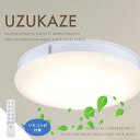 サーキュレーター機能付き ■UZUKAZE 2021年モデル■ 人気のLEDライトに空気循環 空気清浄の2つの機能を搭載 【Slimac スライマック】