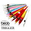 ӡ ȥꥬ 300g beat TRIGGER  ᥿른