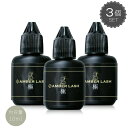 【★60%OFF★メール便対応可能】マツエク グルー 【極/3個セット】日本製 10ml 速乾 プロ 持続 まつげエクステ用グルー 黒 まつエク 国産 まつ毛 ...