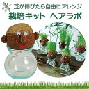【最短翌日配送可】ヘアラボ 栽培キット 観葉植物 hair LABO ラウンド スマート パパ ママ キッズ 水耕栽培キット ガラス ポット インテリア おしゃ...