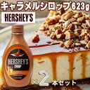 【1本あたり1125円】ハーシー キャラメルシロップ 【623g×2本セット】 HERSHEY'S デザート 濃厚 デコレーション 洋菓子 お菓子作り お菓子 製菓 手作り 材料 クリーミー 国産乳製品 大容量 パーティ 北米 マレーシア 送料無料