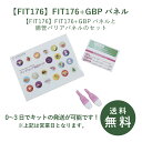 【FIT176】FIT176+GBPパネル遅延型 アレルギー 検査キット 抗体検査 食物過敏 フードアレルギー グルテン カゼイン 食品 蕁麻疹 うつ 眠気 アトピー 頭痛 腸内環境 けんさ 食べ物 食物アレルギー 体調不良 リーキーガット