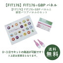 【FIT176】FIT176+GBPパネル遅延型アレルギー 遅延型アレルギー検査キット 抗体検査 食物過敏 フードアレルギー グルテン カゼイン 食品 蕁麻疹 うつ 眠気 アトピー 頭痛 腸内環境 けんさ 食べ物 アレルギー検査キット 食物アレルギー 体調不良 リーキーガット