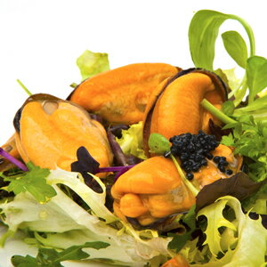 ���ꥷ����������ܥ���ࡼ�볭(����)1kg