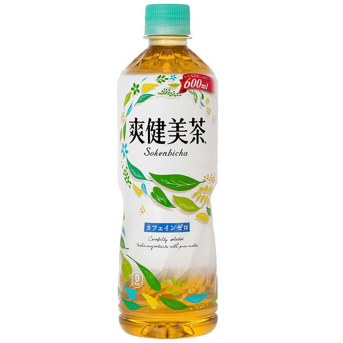 爽健美茶 600ml 48本 (24