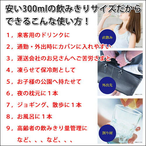 コカコーラ 300ml 24本入り 1ケース 1箱の紹介画像2