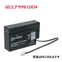 PE12V24 GS ユアサ 小形制御弁式鉛蓄電池 ジーエスユアサ PEシリーズ バッテリー 12V / UPS / 無停電電源 / CATV / エレベータ 防災 防犯システム機器 / 非常 灯 送料無料