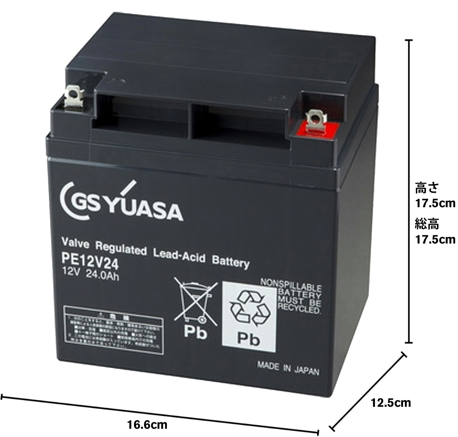 PE12V24 GSYUASA 小形制御弁式鉛蓄電池 ジーエスユアサ PEシリーズ バッテリー 12V / UPS / 無停電電源 / CATV / エレベータ 防災 防犯システム機器 / 非常 灯 送料無料 amcom-10028858 バッテリーウェブコム楽天市場店 サンプル画像3