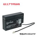 PE6V8 GS ユアサ 小形制御弁式鉛蓄電池 ジーエスユアサ PEシリーズ バッテリー 6V / UPS / 無停電電源 / CATV / エレベータ 防災 防犯システム機器 / 非常 灯 送料無料