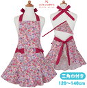 エプロン 三角巾 セット 小学生 おしゃれ 女の子 子供用 キッズ ジュニア 120〜140cm 130cm ルビーピンクローズガールズワンピースフレアーエプロ...