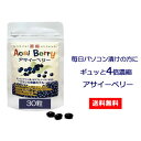 濃縮 アサイーベリー 30粒 ブルーライト ルテイン アントシアニン 色素 サプリメント サプリ acai berry blueberry …