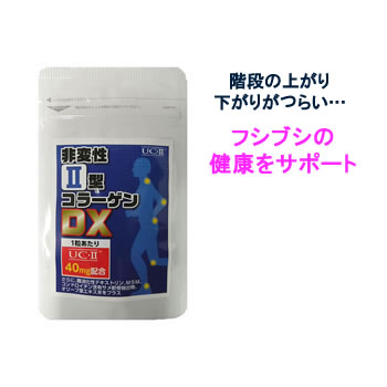 商品名：非変性2型コラーゲンDX 内容量：11.1g（内容量310mg/重量370mg×30粒） 原材料名：難消化性デキストリン、MSM、コンドロイチン含有サメ軟骨抽出物、鶏軟骨抽出物（非変性2型コラーゲン含有）、オリーブ葉エキス末、HPMC、ステアリン酸Ca、V.B1、V.B6、カラメル色素 保存方法：高温多湿・直射日光を避けて、なるべく涼しい場所に保存してください。 お召し上がり方：1日1粒を目安に、水またはお湯などでお飲みください。 広告文責 アメック株式会社 018-893-5756 メーカー（製造） アメック株式会社 秋田県秋田市飯島字飯島水尻412-4 生産国 日本 商品区分 健康食品