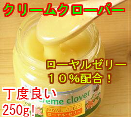 【はちみつ専門店アメリア】 元気回復にはコレ！！ ローヤルゼリー10％配合 クリームハチミツ 蜂蜜250入り 楽天シニア市場 売れ筋 