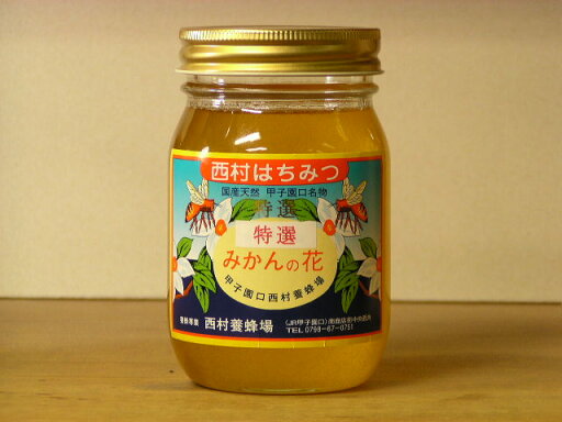ミカンの花のいい香り 採れたて特選みかん蜂蜜500g 楽天シニア市場 国産 蜂蜜 はちみつ ハチミツ 瓶詰 非加熱 ハニー ミカンの花のいい香り 採れたて特選みかん蜂蜜500g 楽天シニア市場 国産 蜂蜜 はちみつ ハチミツ 瓶詰 非加熱 ハニー