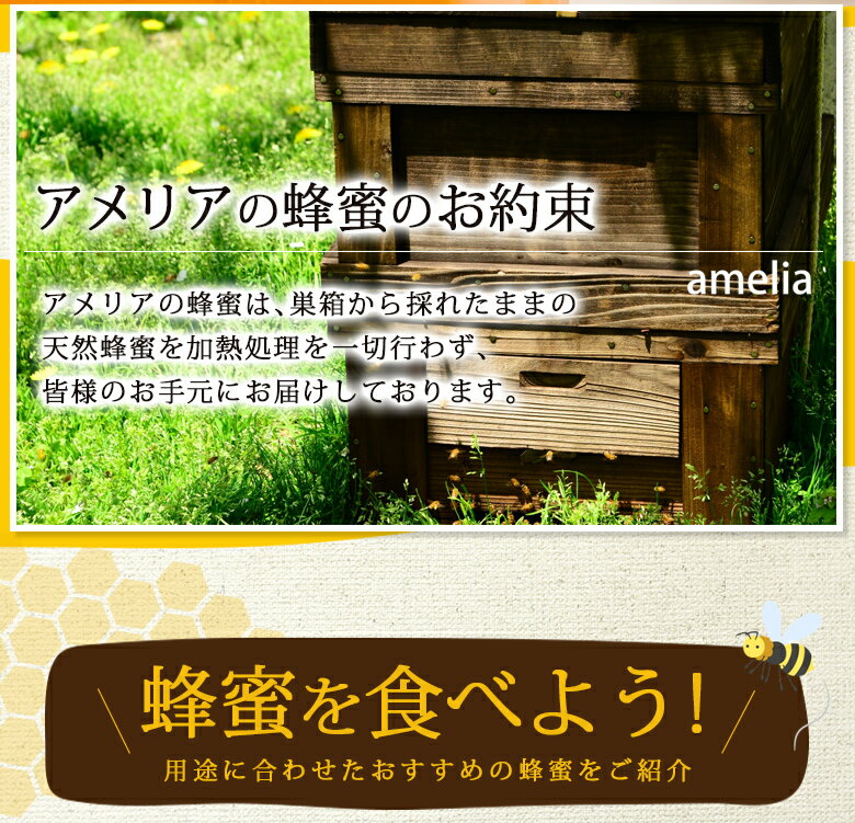 【2022年 新蜜】国産 非加熱 自家製 百花蜜 兵庫県宝塚産 鉄分などミネラル豊富で 濃厚な奥深い風味 1000g 蜂蜜 ハチミツ 日本製 はちみつ ハニー HONEY 瓶詰 アメリア