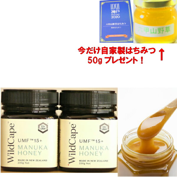 Wild Cape ワイルドケープ UMF15+ 250g 2 ニュージーランドマヌカハニー協会 UMFHA 認定ニュージーランド産はちみつ 抗菌活性度は15 ギフト お歳暮 蜂蜜 ハチミツ