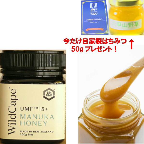 Wild Cape ワイルドケープ マヌカハニー UMF15+ 250g ニュージーランドマヌカハニー協会 UMFHA 認定 抗菌活性度は15 ギフト お歳暮 プレゼント 贈答品 退職 蜂蜜 ハチミツ はちみつ ハニー