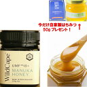 Wild Cape (ワイルドケープ) マヌカハニー UMF15+ 250g ニュージーランドマヌカハニー協会(UMFHA)認定 抗菌活性度は15! ギフト お...