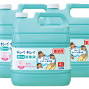 送料無料 キレイキレイ泡で出る消毒液 業務用 4L×3本【指定医薬部外品】