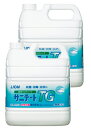 送料無料 サニテートTG 業務用 4L ×2本 【医薬部外品】