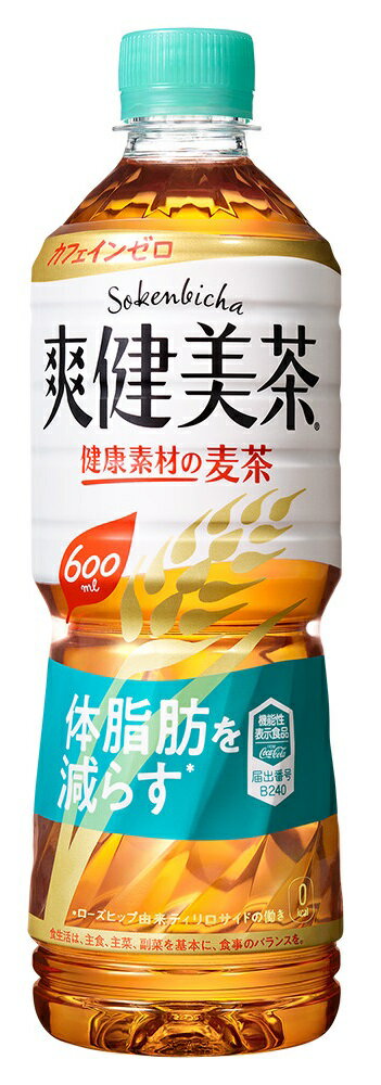爽健美茶 健康素材の麦茶 600mlPET×24本 1