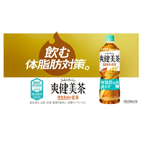 爽健美茶 健康素材の麦茶 600mlPET×24本 2