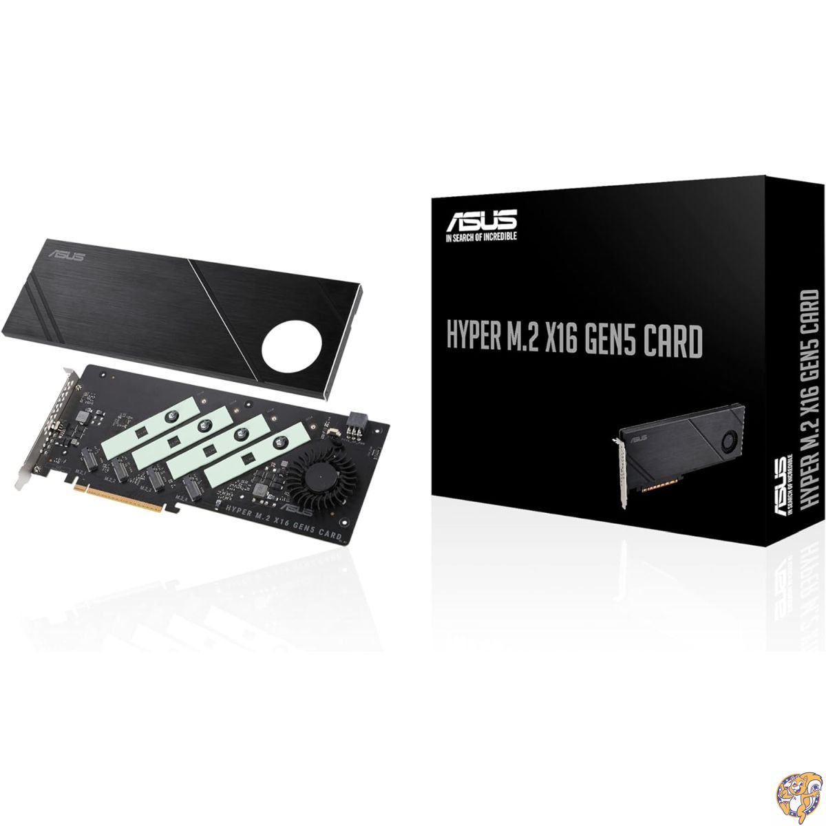ꥫåɥХ֥㤨ASUS Hyper M.2 x16 Gen5  (PCIe 5.0/4.0 4ĤNVMe (2242/2260/2280/22110 512Gbps AMDIntel®ץåȥեRAIDǽб, HYPER X16 GEN5 CARDפβǤʤ25,252ߤˤʤޤ