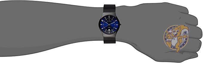 SKAGEN（スカーゲン）『GRENENスチールメッシュウォッチ（T233XLTMN）』