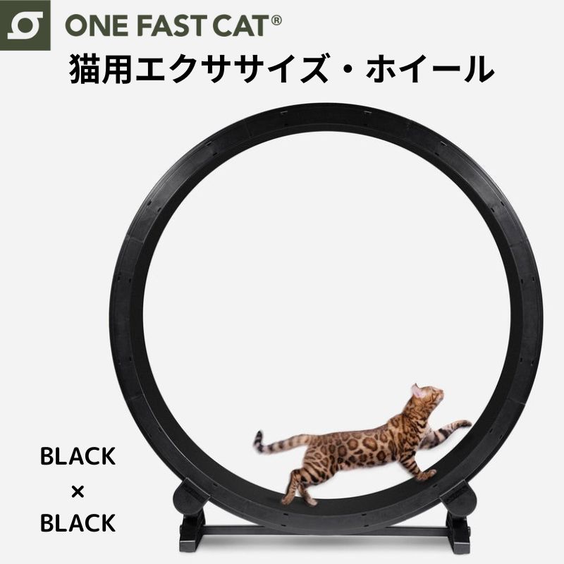 ワンファストキャット ONEFASTCAT 猫用...の商品画像