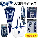 大谷翔平 グッズ 6点セット ロサンゼルス ドジャース 壁掛け 大谷ストラップ ドジャース透明バック 大谷マグネット ステッカー 缶ホルダー Ohtani 背番号17 MLB公式