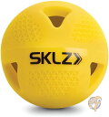 トレーニンング用野球ボール SKLZ 212684 6パック 送料無料