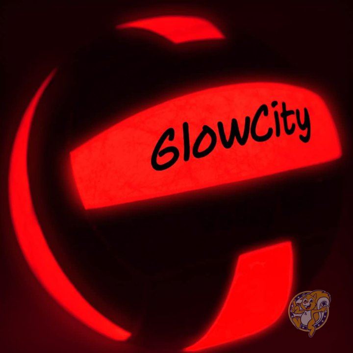 【最大1000円クーポン スーパーセール】LEDバレーボール GlowCity catoynovel-usth06497 規定サイズと重量 送料無料