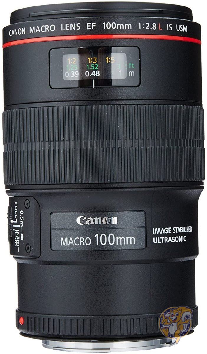 キヤノン Canon EFレンズ 100ミリメートル F/2.8L IS USMマクロレンズ 3554B002 カメラレンズ 送料無料