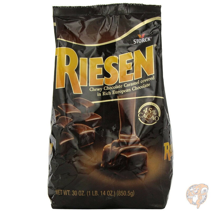 [[ RIESEN `[C[ _[N`R[g LLfB[ oN  850g~3