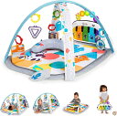 ベビーアインシュタイン (Baby Einstein) 4in1 キッキンチューンズ・ジム (11749) 送料無料