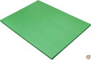 Pacon Pacon 9 x 12 Inches 58Pound Construction Paper, Bright Green, 50