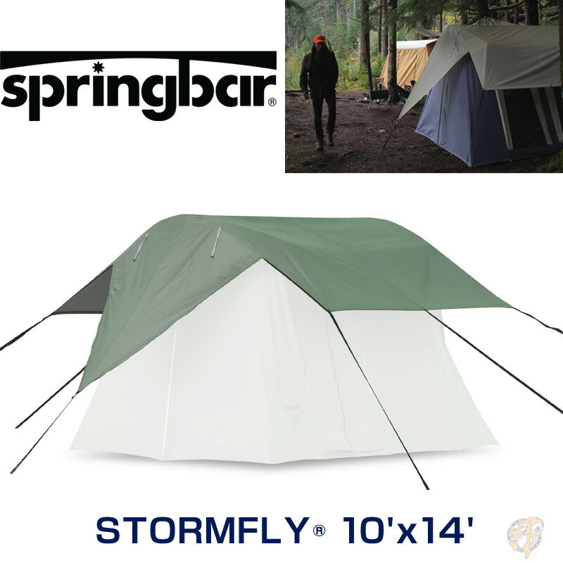 Springbar STORMFLY 10'x14' NATURAL ܂ GREEN XvOo[ eg  J  