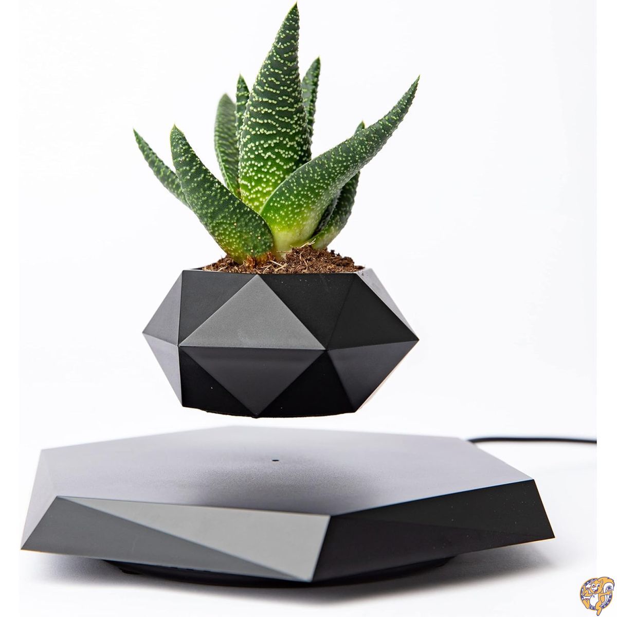 BandD 浮遊式植木鉢 - 小さな植物用のフローティング植木鉢。家やオフィス用の浮遊する装飾 磁気浮遊ディスプレイ(ブラック)