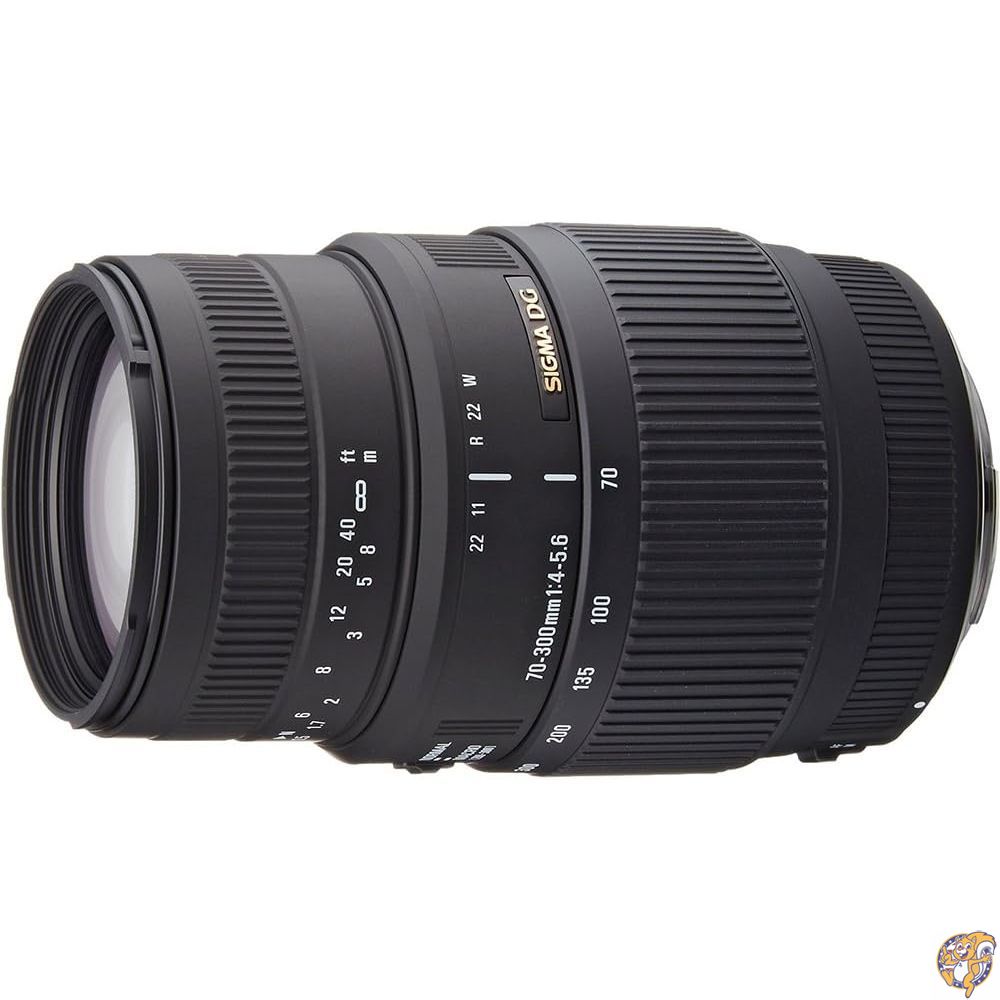 SIGMA ]Y[Y 70-300mm F4-5.6 DG MACRO jRp tTCYΉ 509552