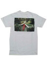 JACKSON MATISSEジャクソンマティスPero Surfboard Tee Tee white