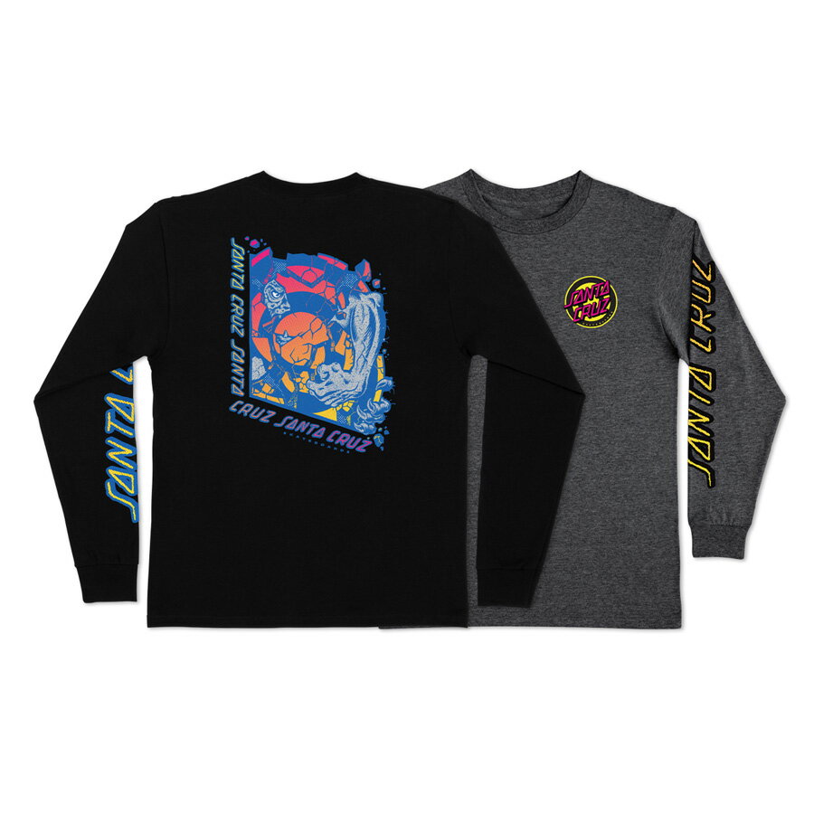 SANTA CRUZ サンタクルーズROSKOPP BREAK L/S REGULAR T-SHIRTロングスリーブTシャツ ロブ ロスコップ TEE 長袖 ロンT メンズ レディース ストリート スケーター ファッション スケートボード スケボー sk8 skateboard【23SS】